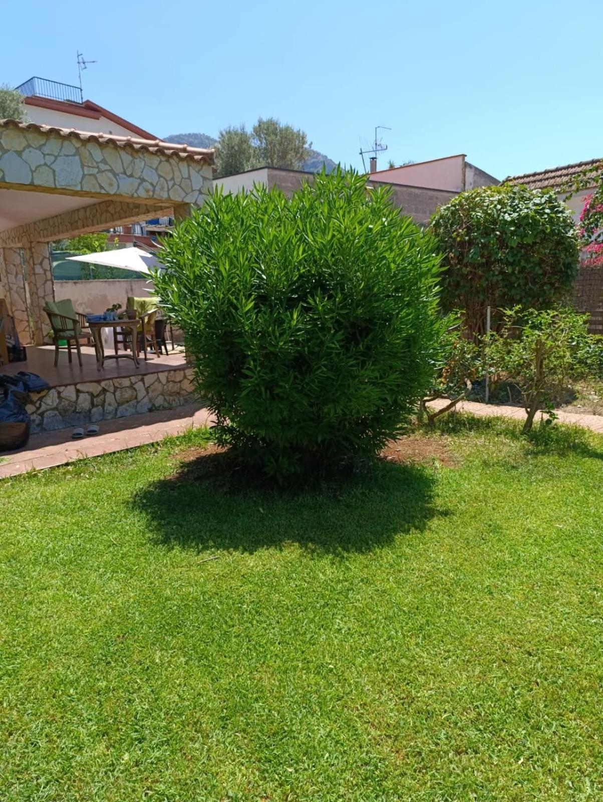 Casa In Giardino A Pochi Passi Dal Mare Villa Palermo Buitenkant foto